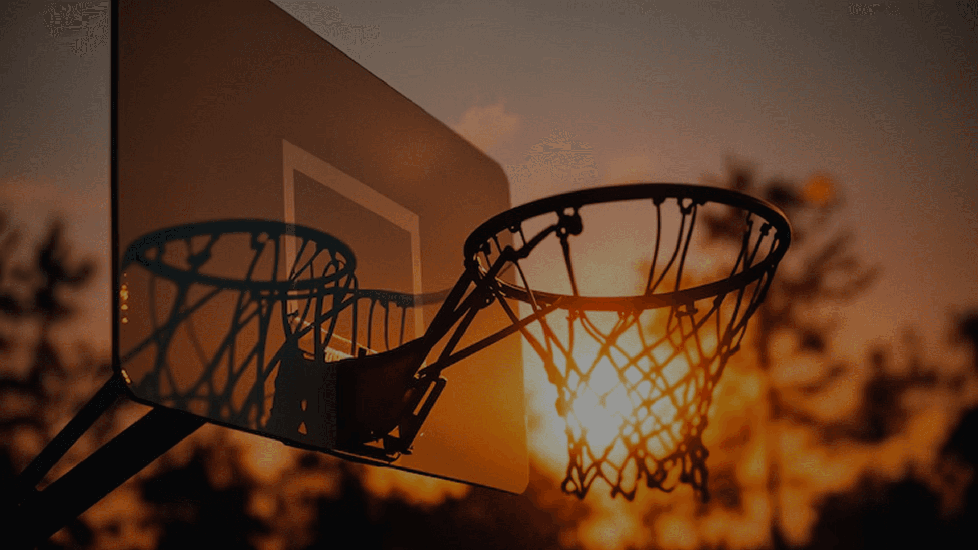 Image of a player holding a basketball in the middle of a park